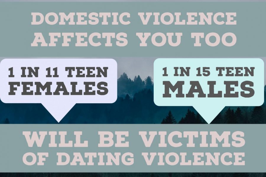 The prevalence of Domestic Abuse in Teens