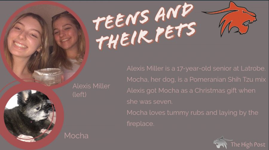Teens and Their Pets - Alexis Miller