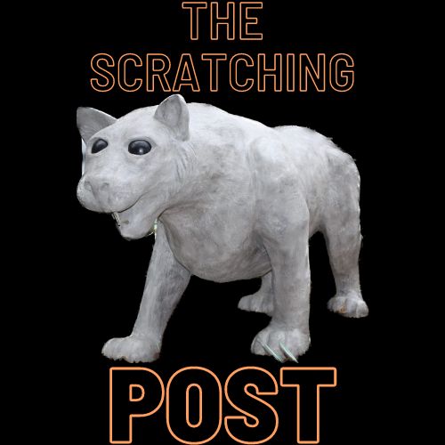 The Scratching Post: Episode #5