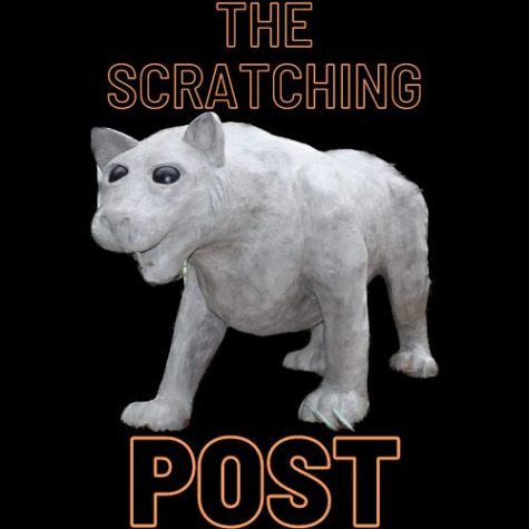 The Scratching Post: Episode #6