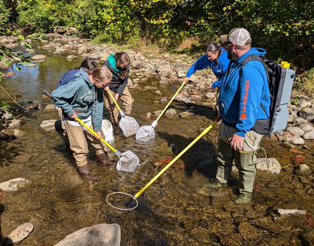 Brylee Bodnar, Penelope Wetzel, Avi Mucci, and Chiara Mongelluzzo collecting fish as Josh Penatzer of the Loyalhanna Watershed Association shocks the fish using the electrofishing backpack.