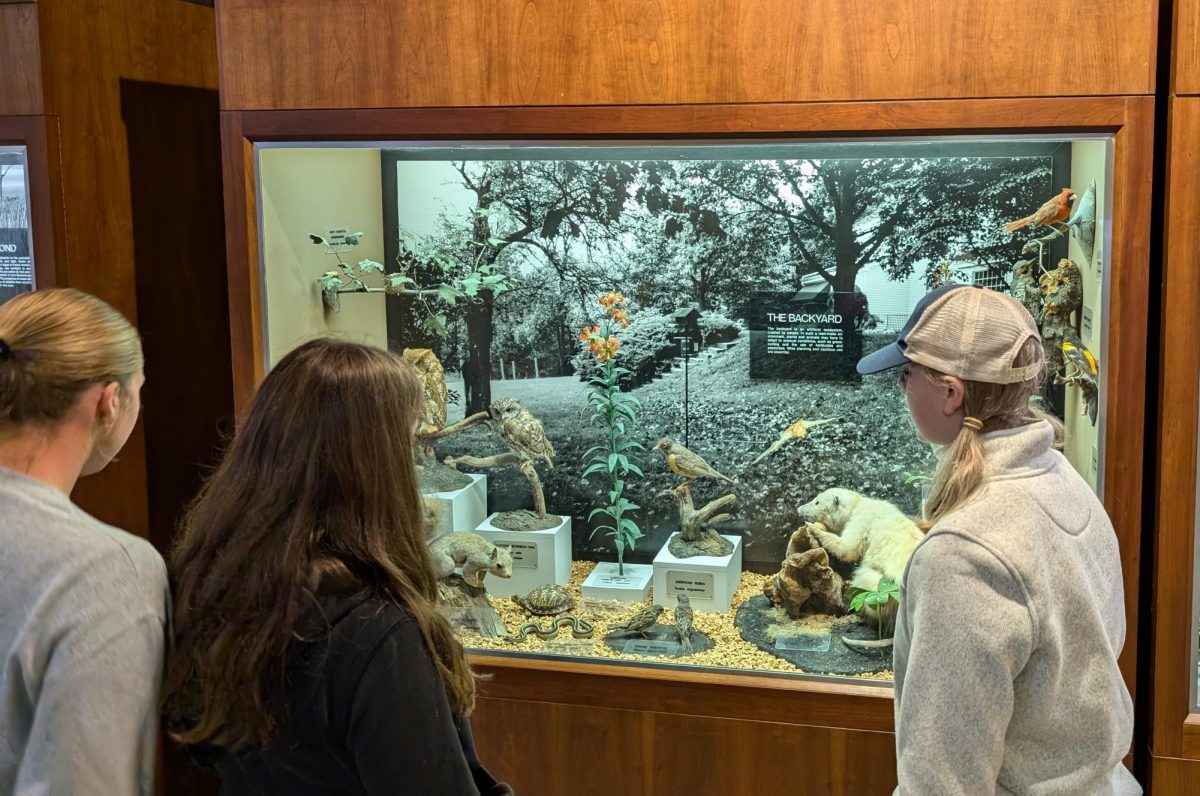 Ava Yurko, Zuzanna Bugalska and Elise Wolfgang look at a display at the Powdermill Nature Reserve.