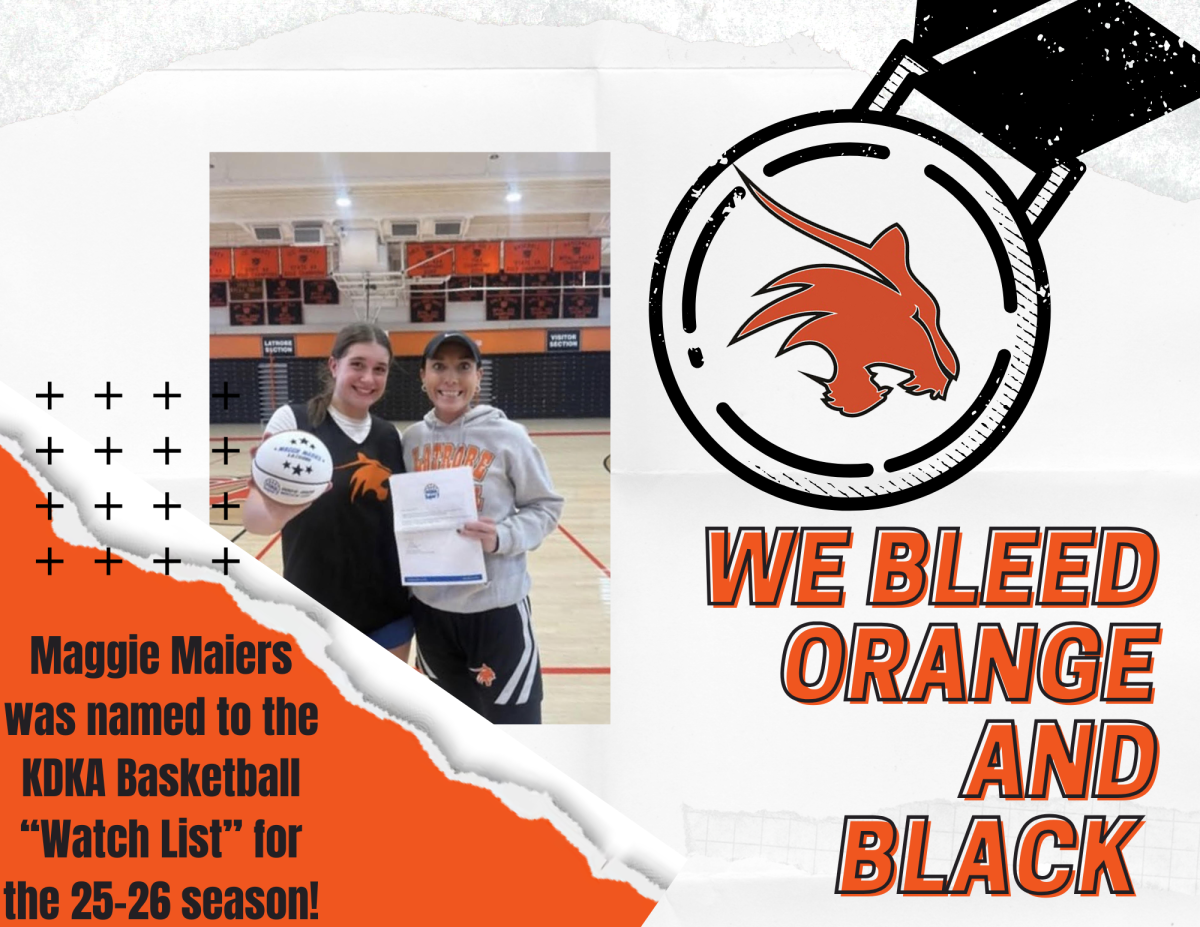 We Bleed Orange and Black