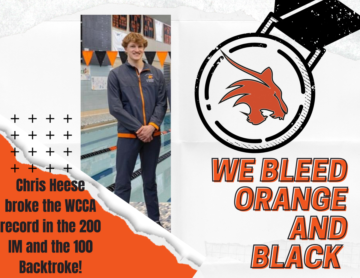 We Bleed Orange & Black